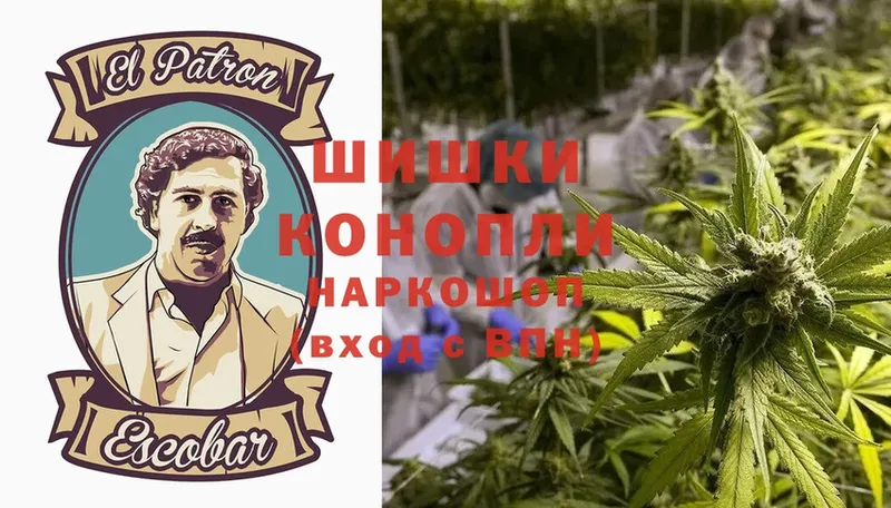 Шишки марихуана THC 21%  наркотики  Городовиковск 